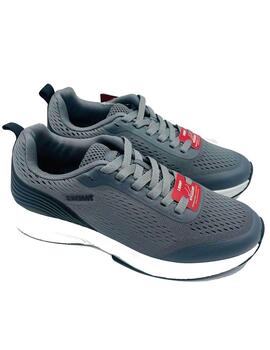 PAREDES 24561 GRIS