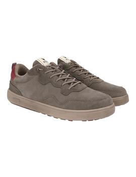 PITAS KUME 37 TORTOLA