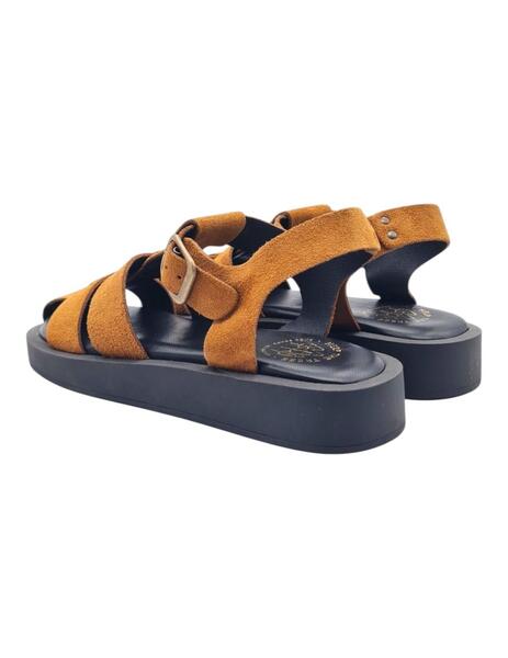 Gallery a10709 zcsdoxtq