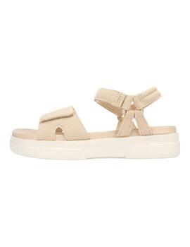 PITAS MAPLE 67 ARENA