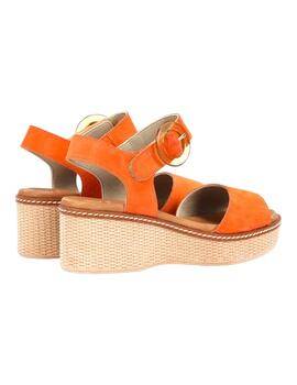 DORKING D9450 CALF ORANGE