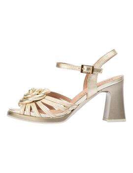 PITILLOS 11220 ORO