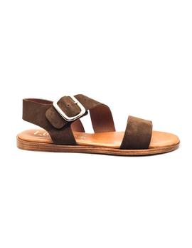 LINCE 07905 KAKI