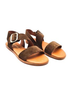 LINCE 07905 KAKI