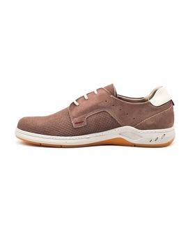 HIMALAYA 3055 TORTOLA